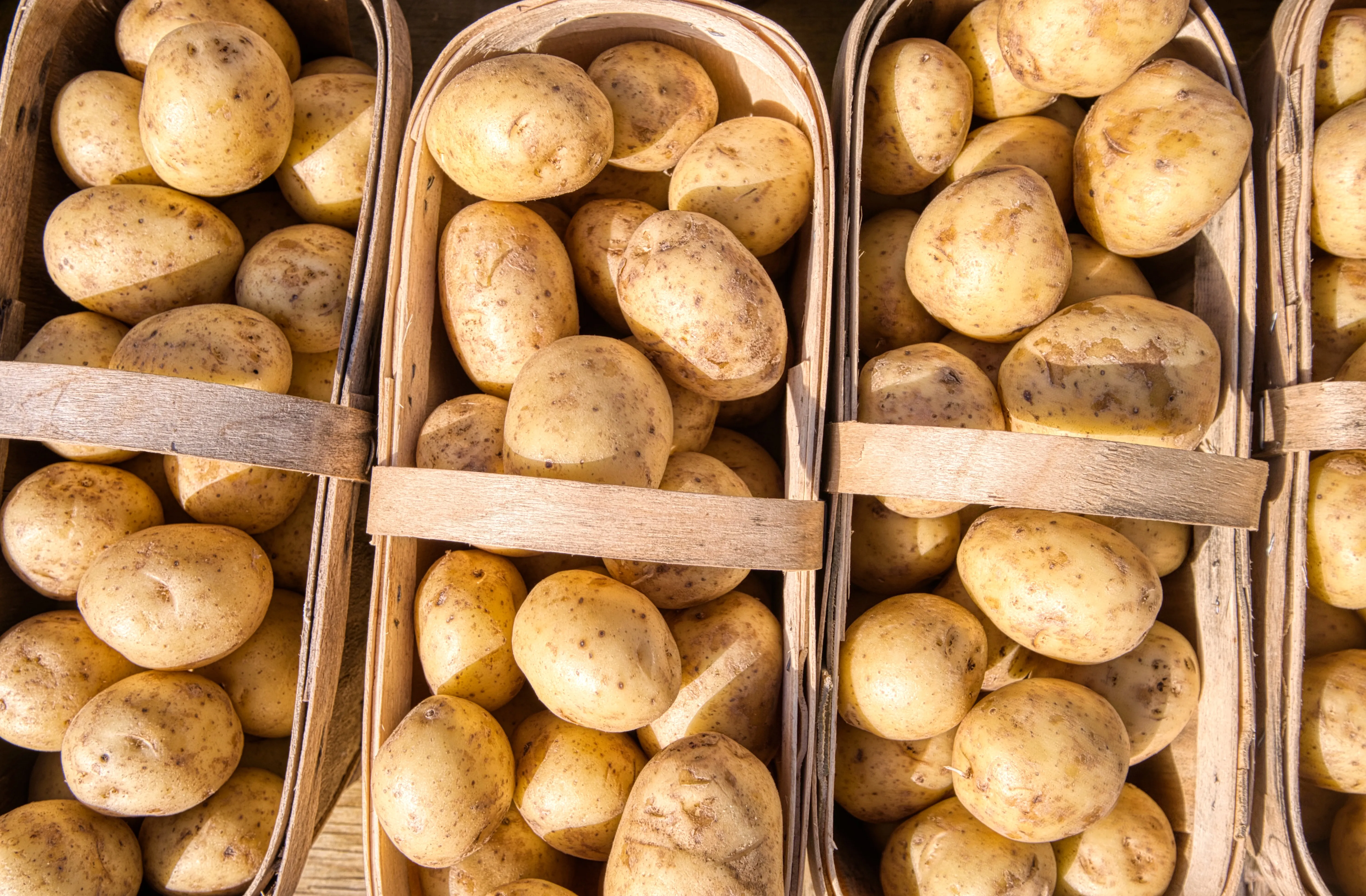 Best Alternatives for Yukon Gold Potatoes in Australia